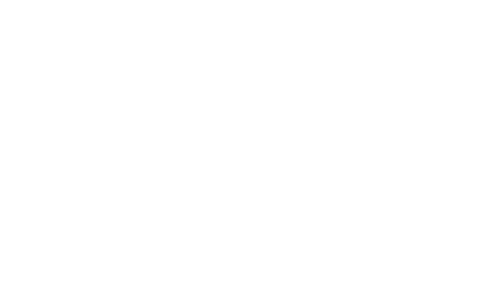institut francaise