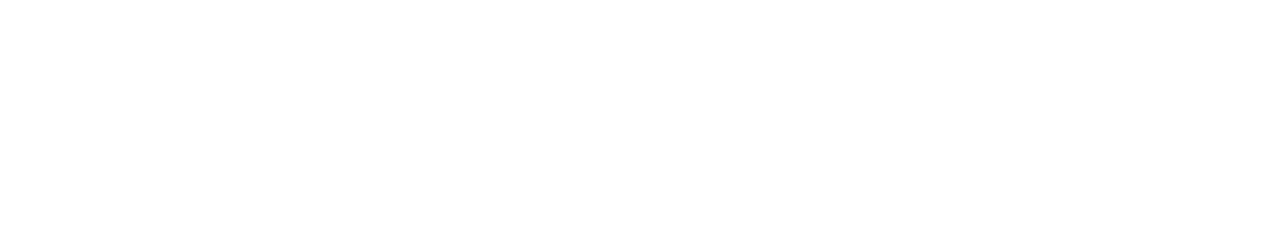 logo kirweb white