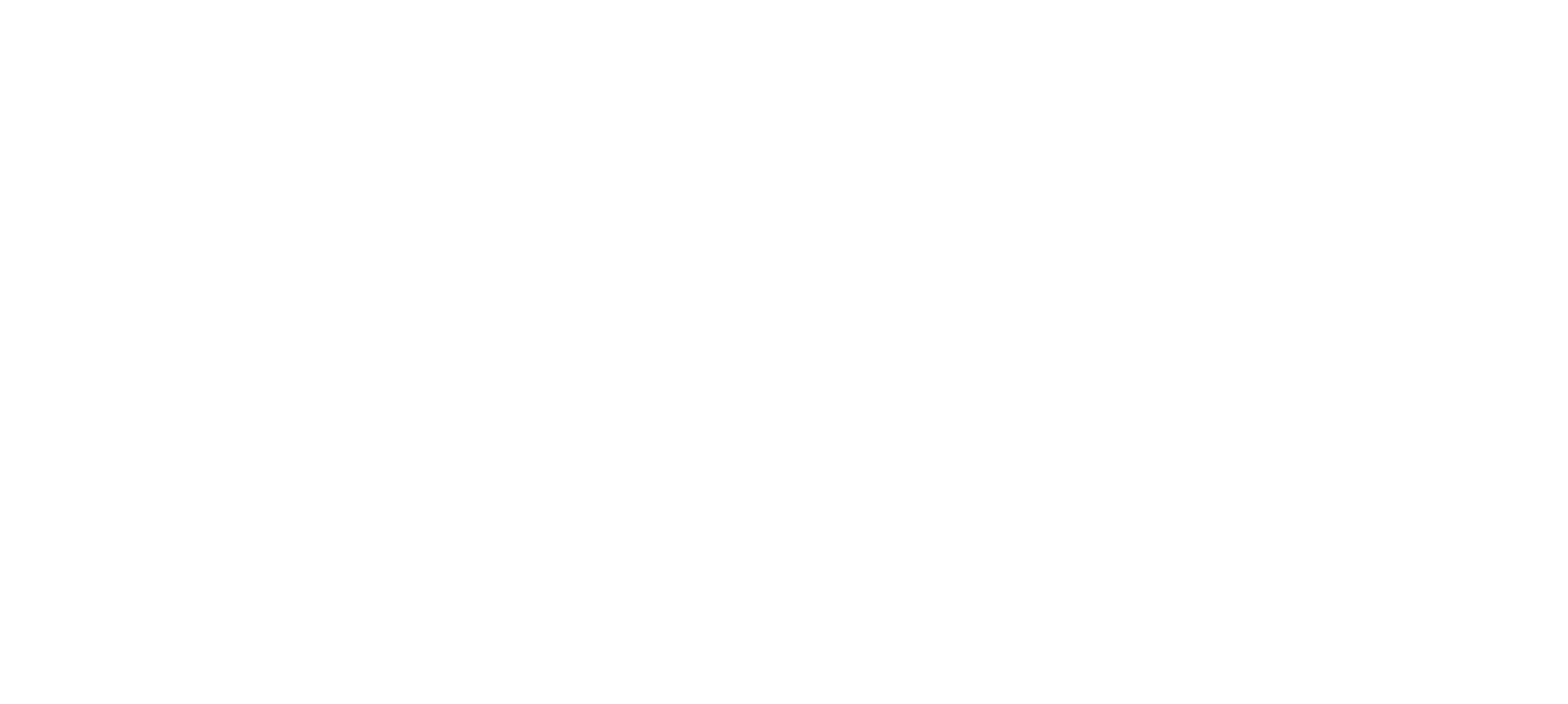 logo vibra